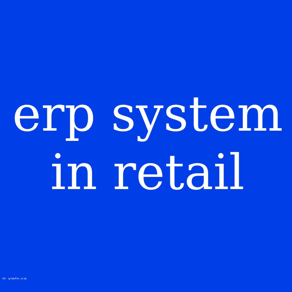 Erp System In Retail