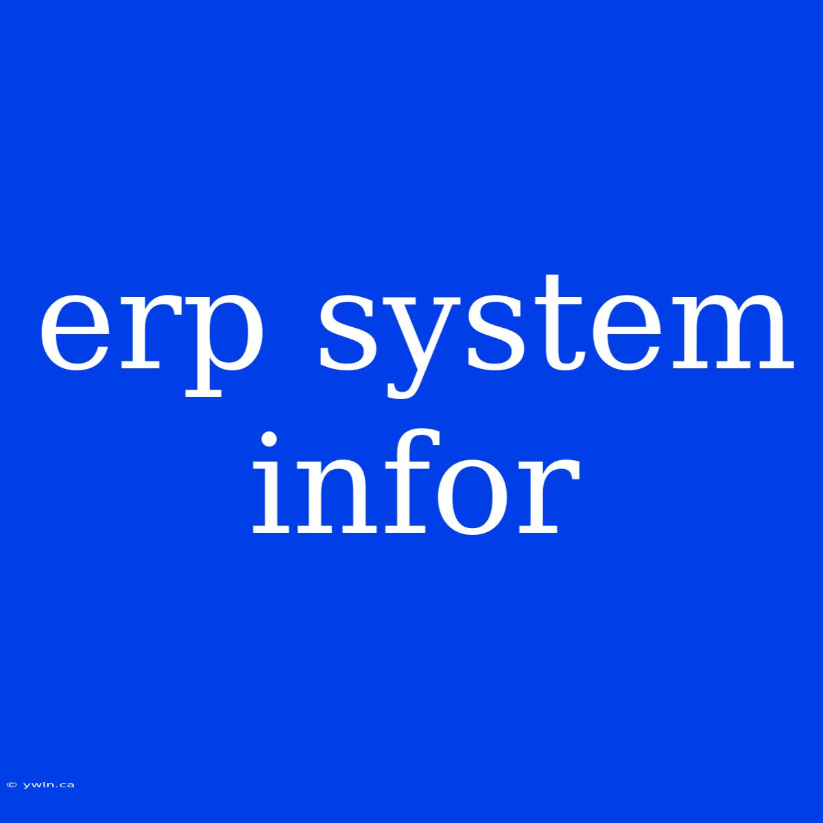 Erp System Infor