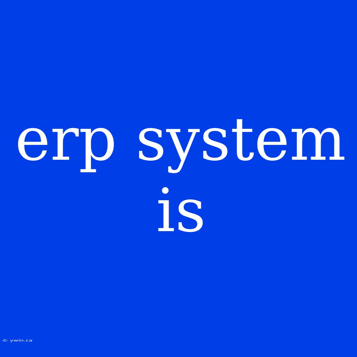 Erp System Is