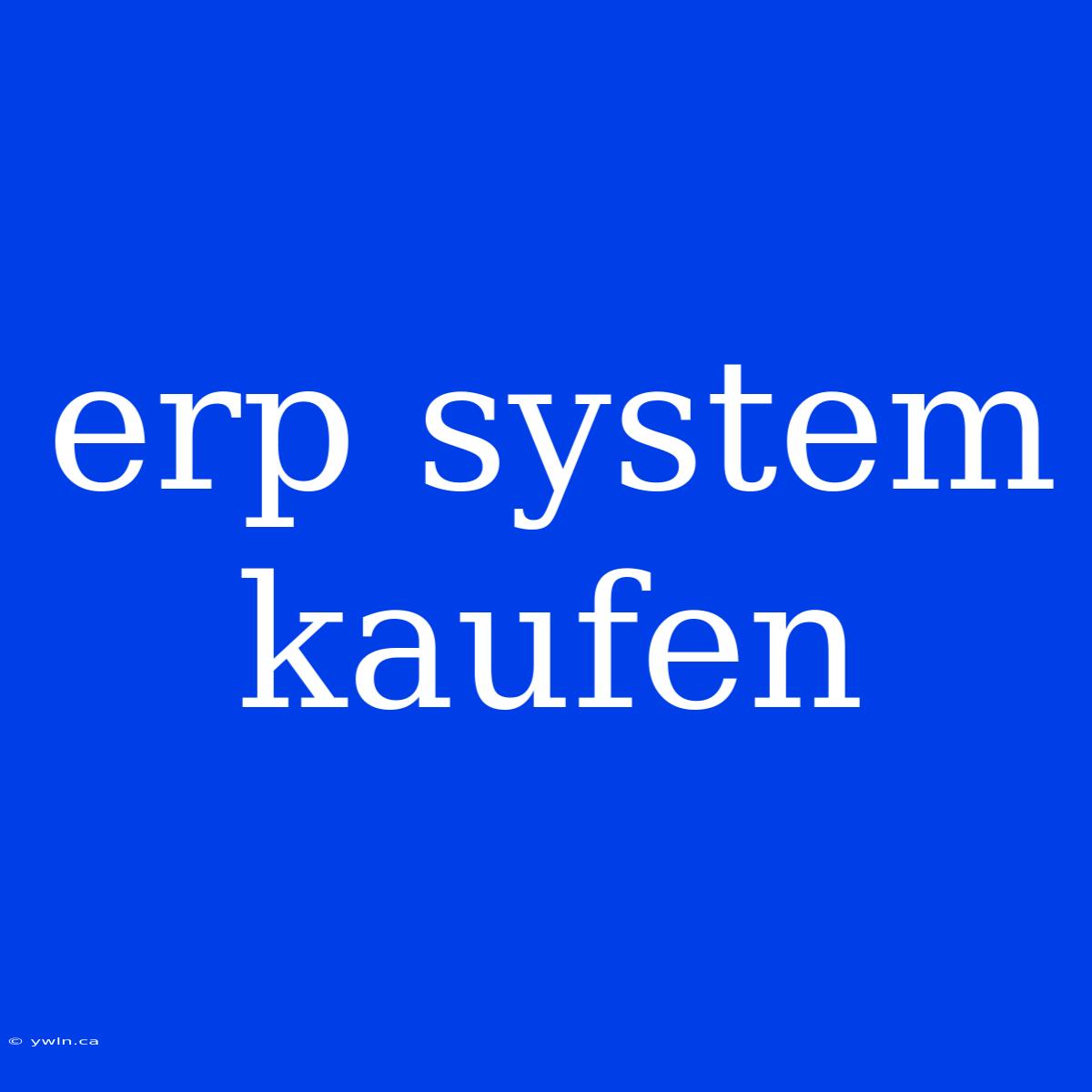 Erp System Kaufen