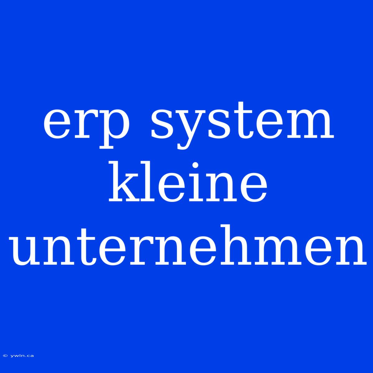 Erp System Kleine Unternehmen