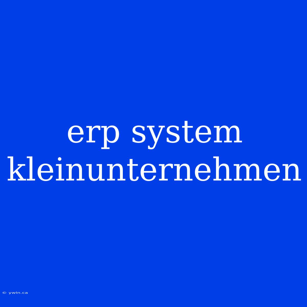 Erp System Kleinunternehmen