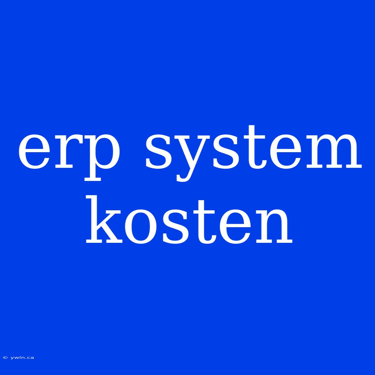 Erp System Kosten