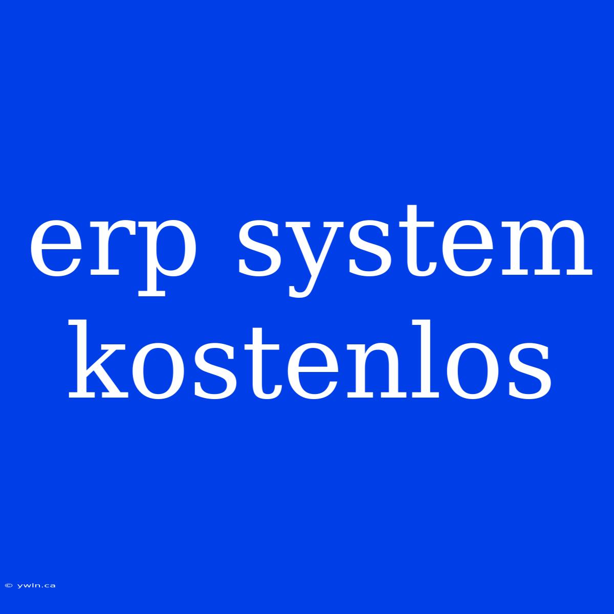 Erp System Kostenlos