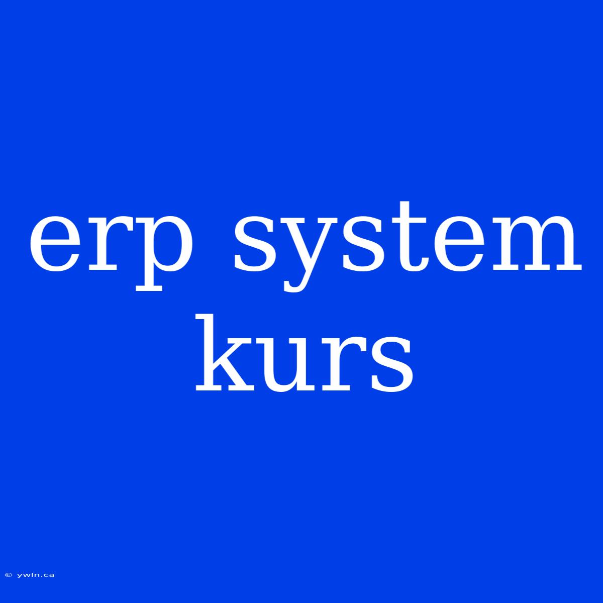 Erp System Kurs