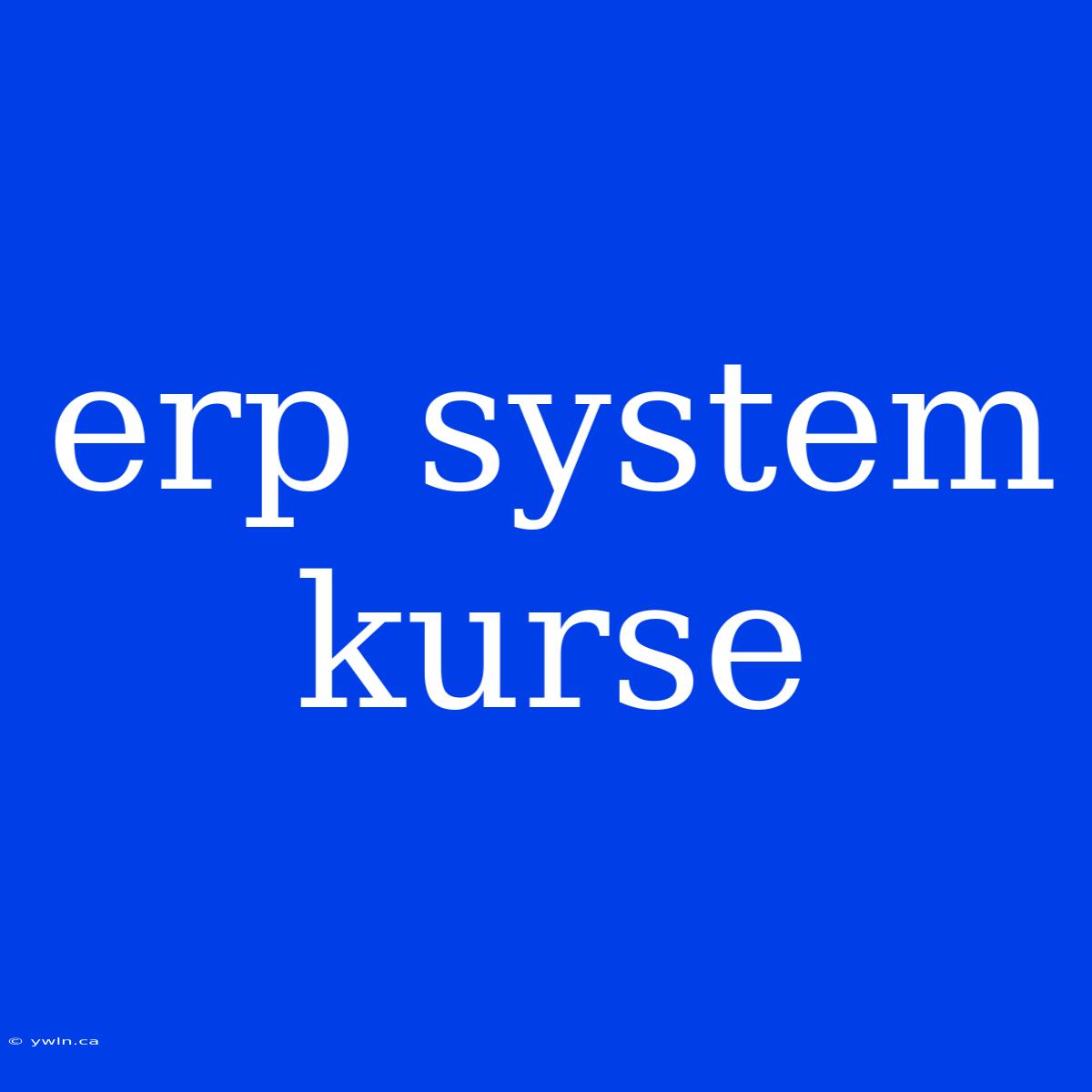 Erp System Kurse