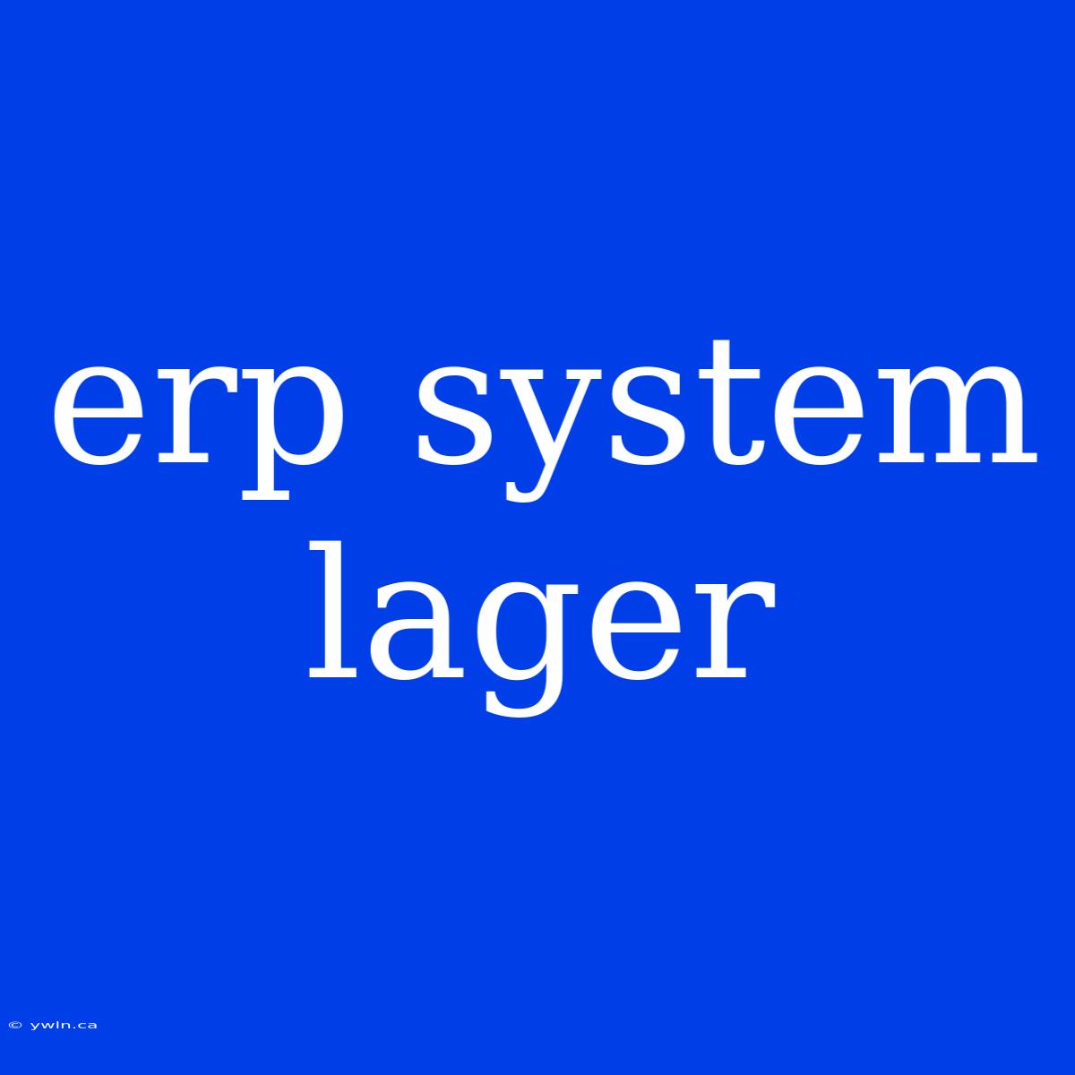 Erp System Lager