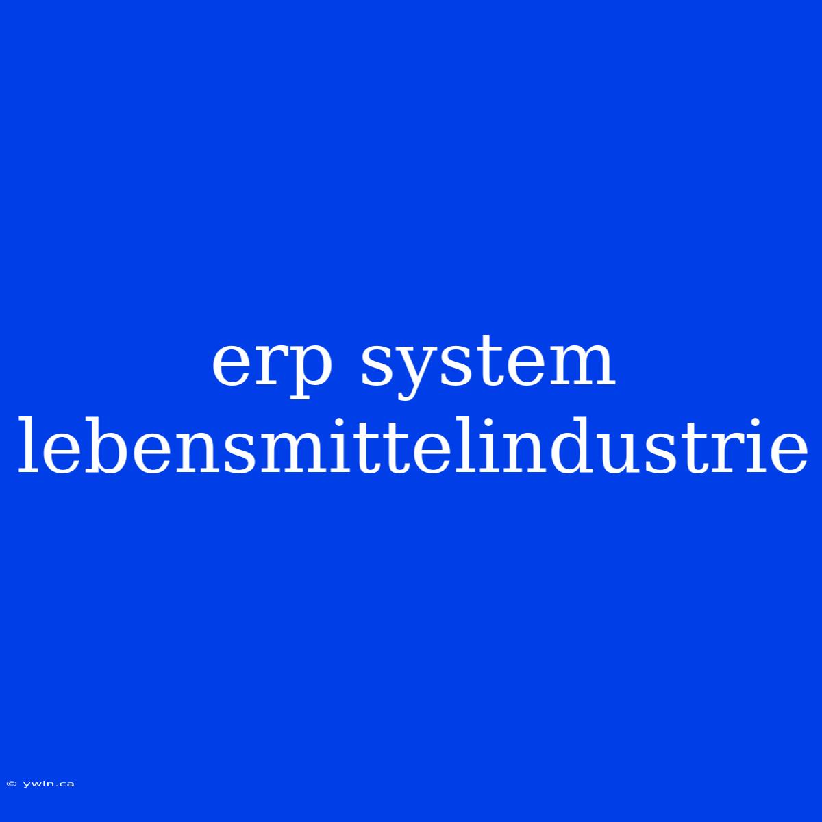 Erp System Lebensmittelindustrie