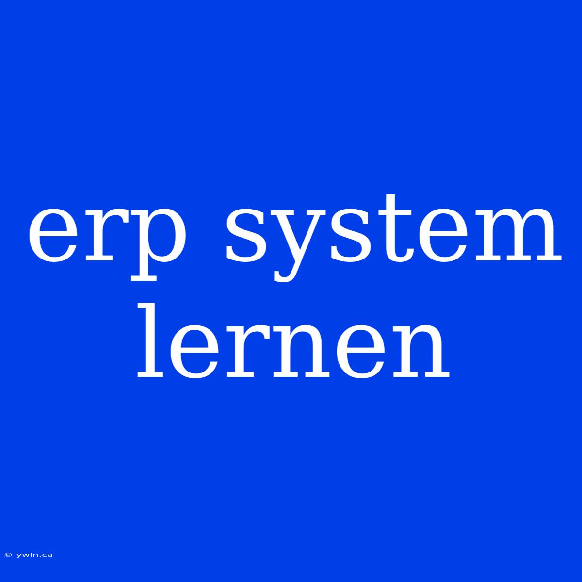 Erp System Lernen