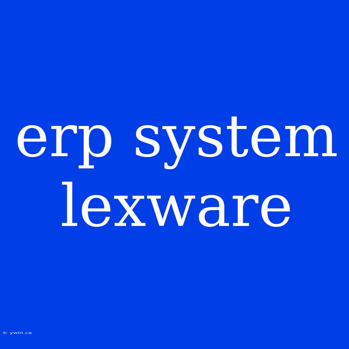 Erp System Lexware