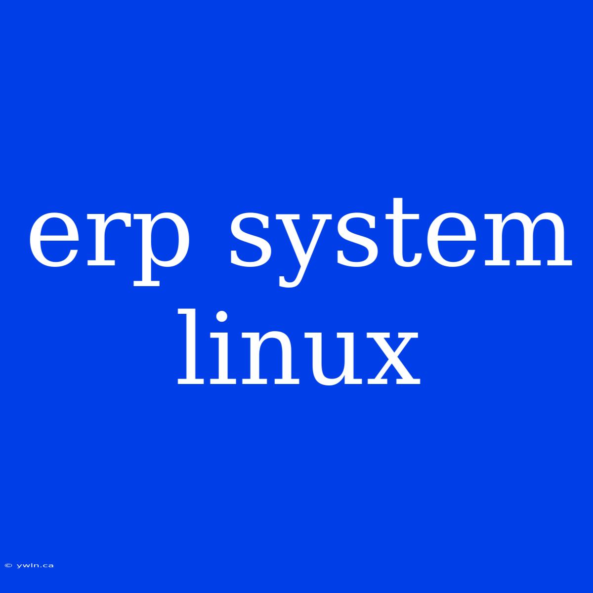 Erp System Linux