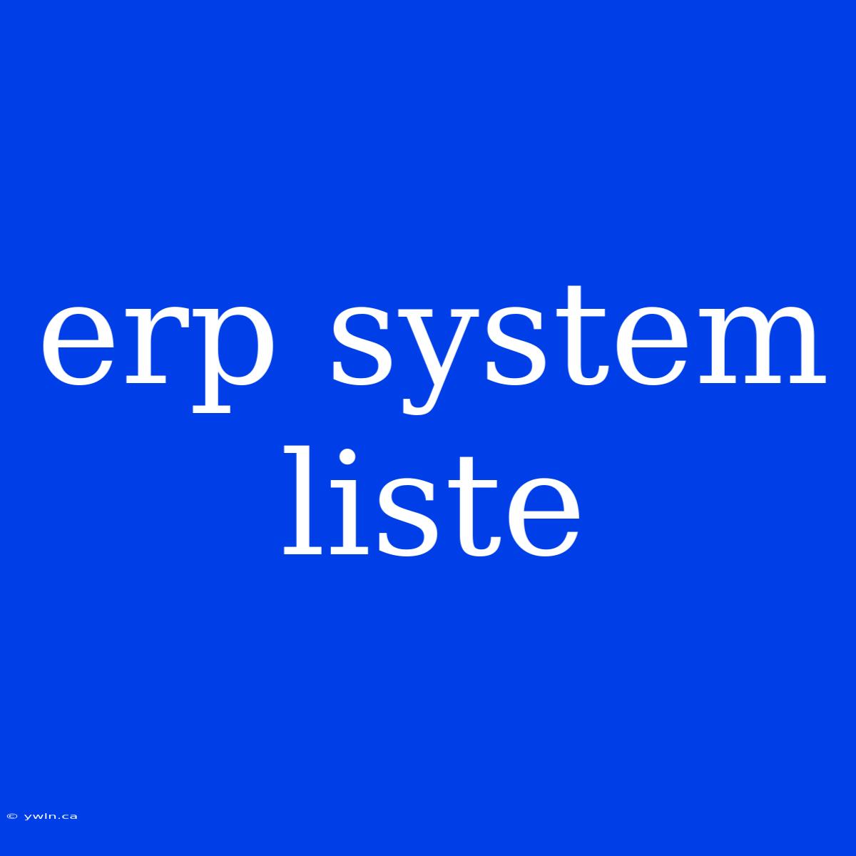 Erp System Liste