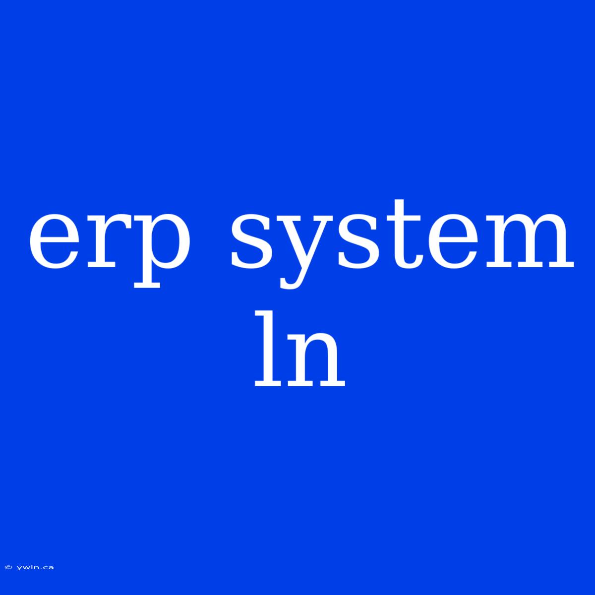 Erp System Ln