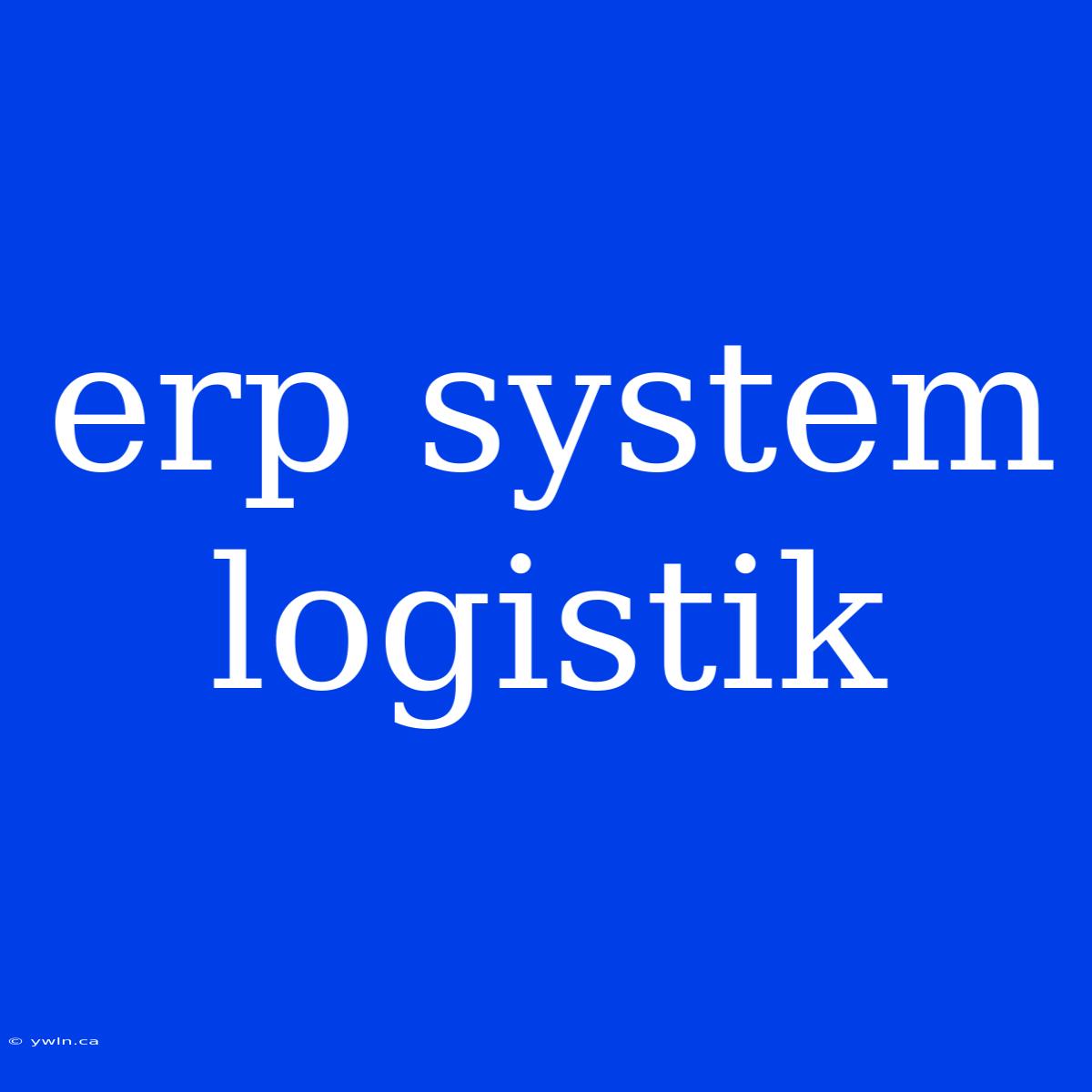 Erp System Logistik