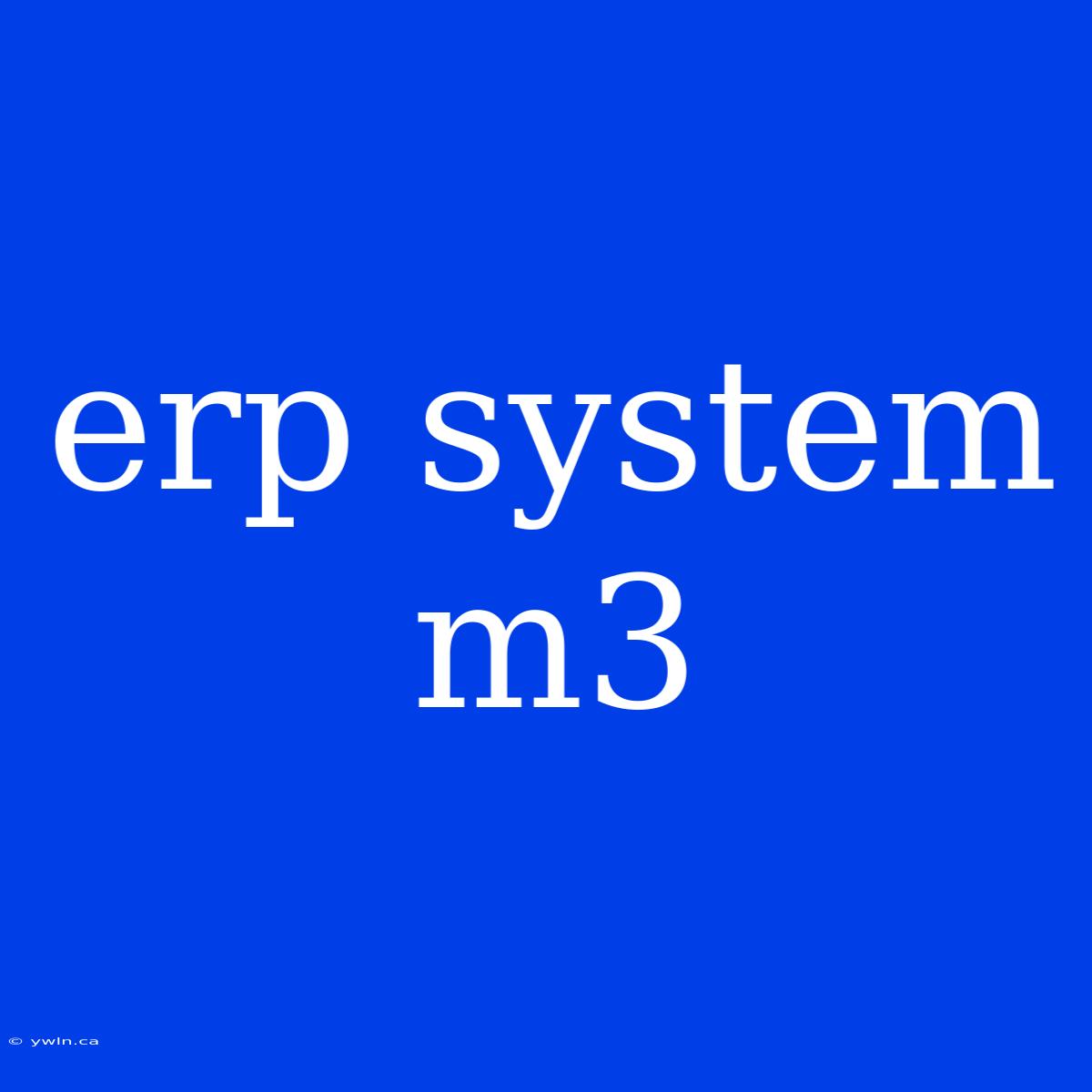 Erp System M3