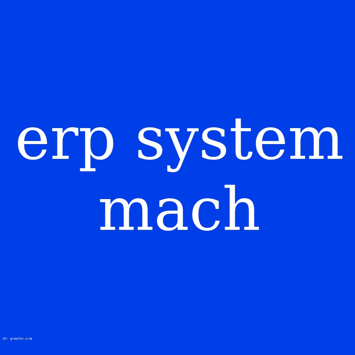 Erp System Mach