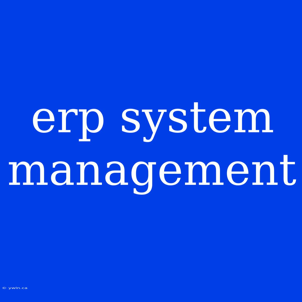 Erp System Management