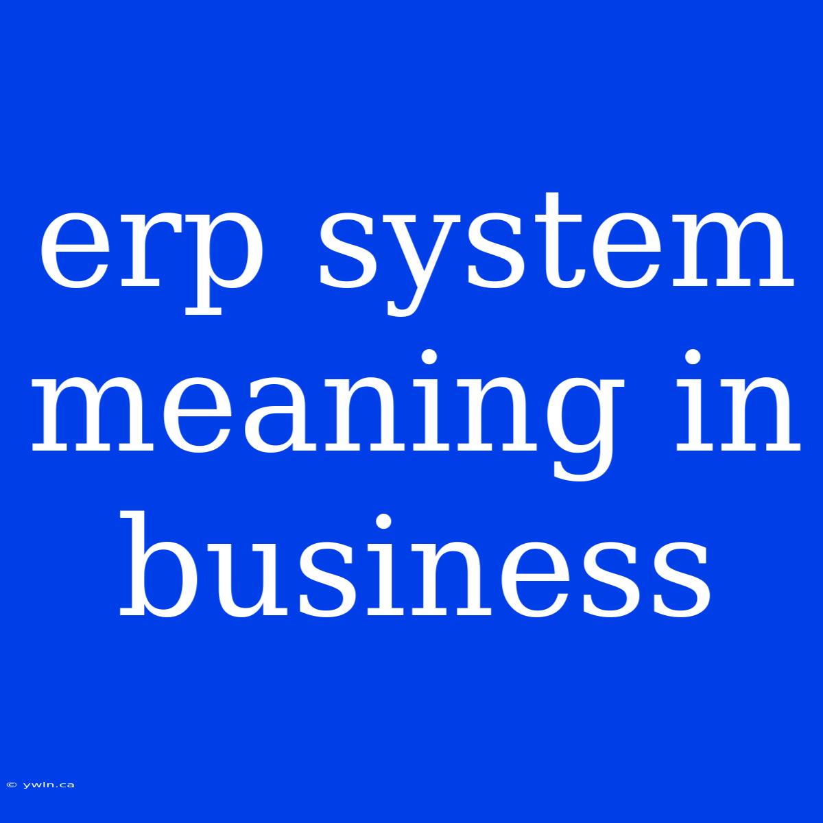 Erp System Meaning In Business