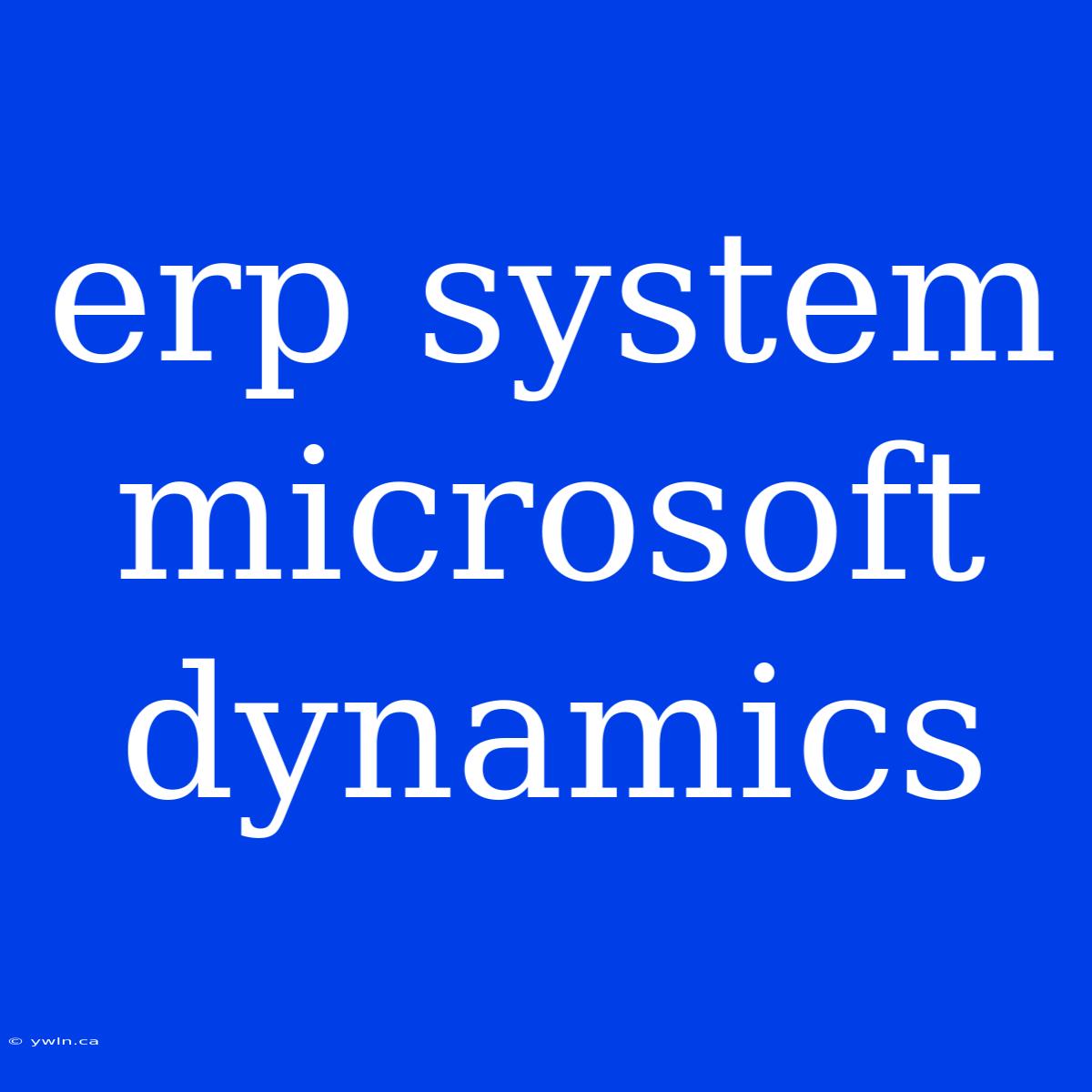 Erp System Microsoft Dynamics