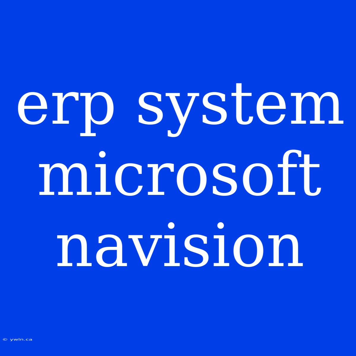 Erp System Microsoft Navision