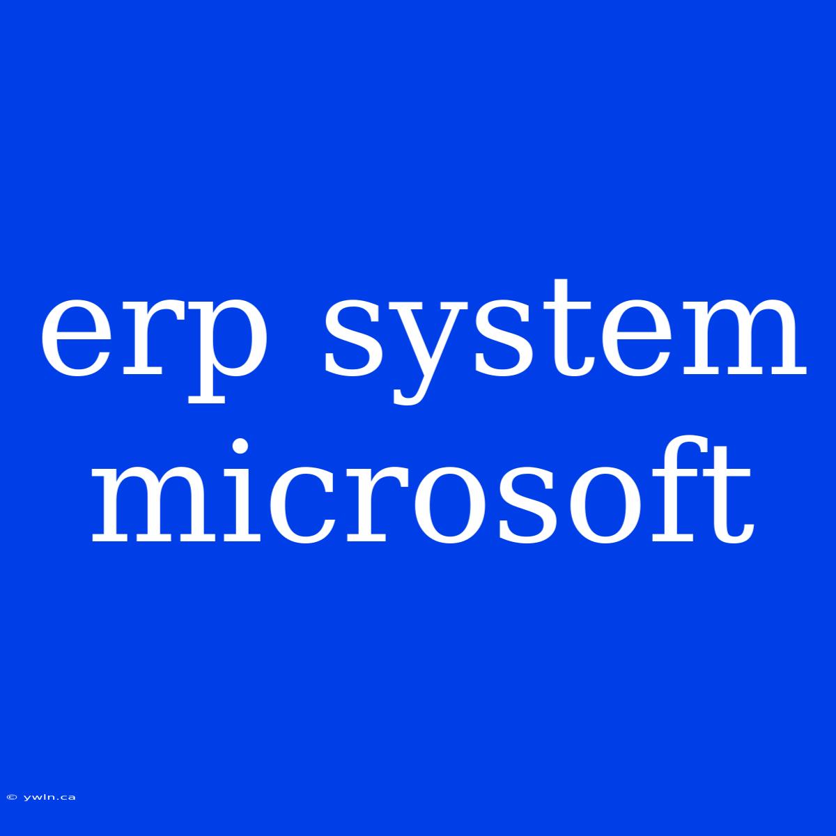 Erp System Microsoft