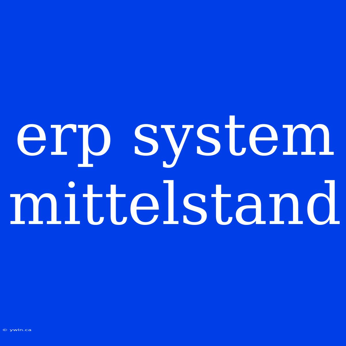 Erp System Mittelstand