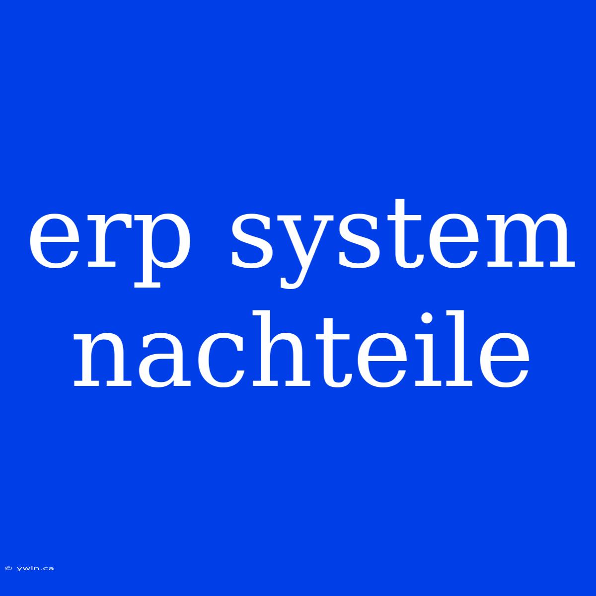 Erp System Nachteile