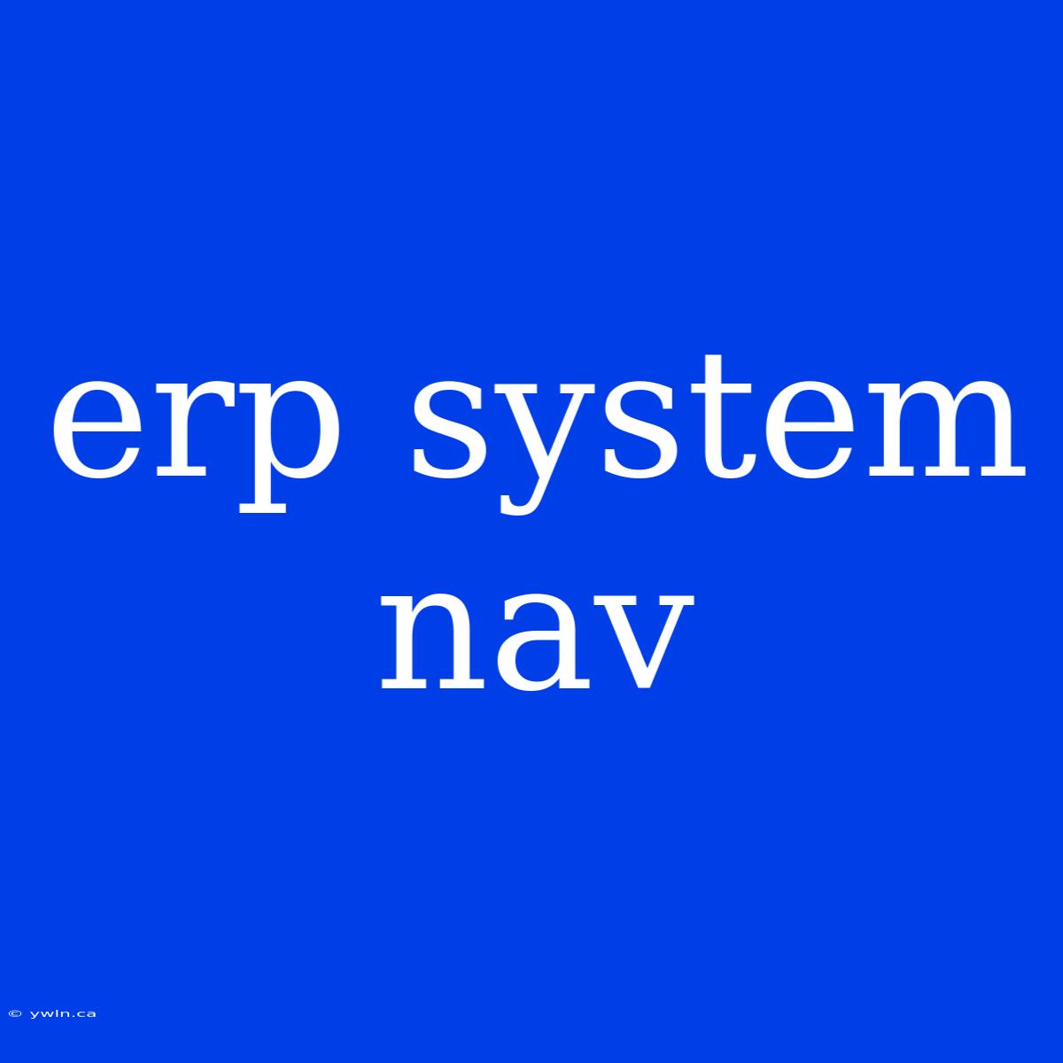 Erp System Nav