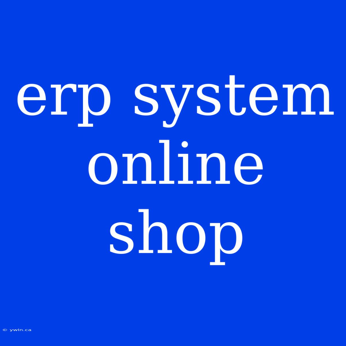 Erp System Online Shop