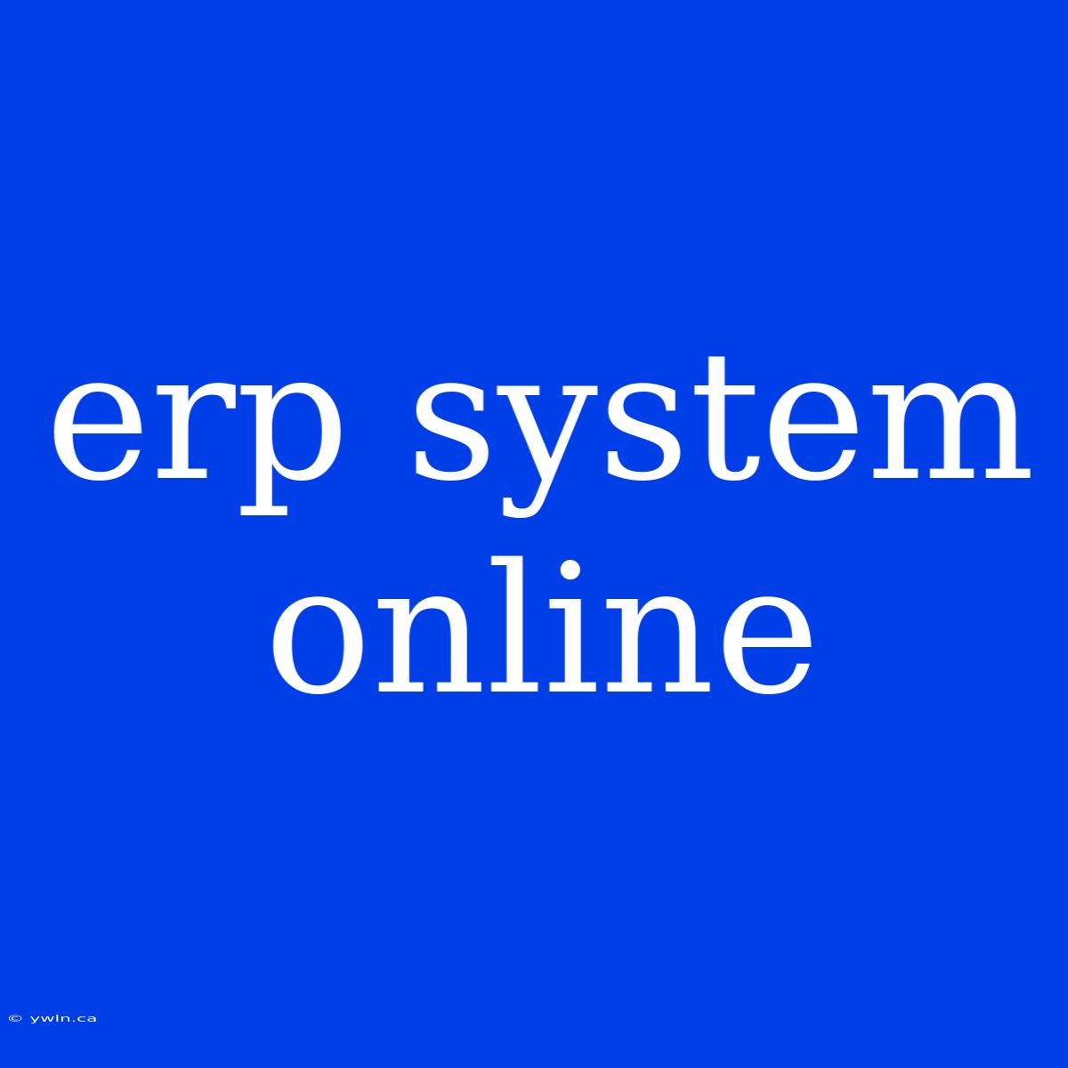 Erp System Online