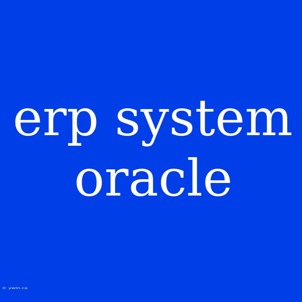 Erp System Oracle