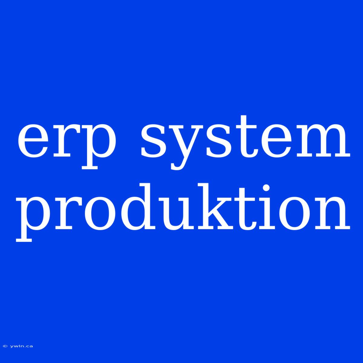 Erp System Produktion