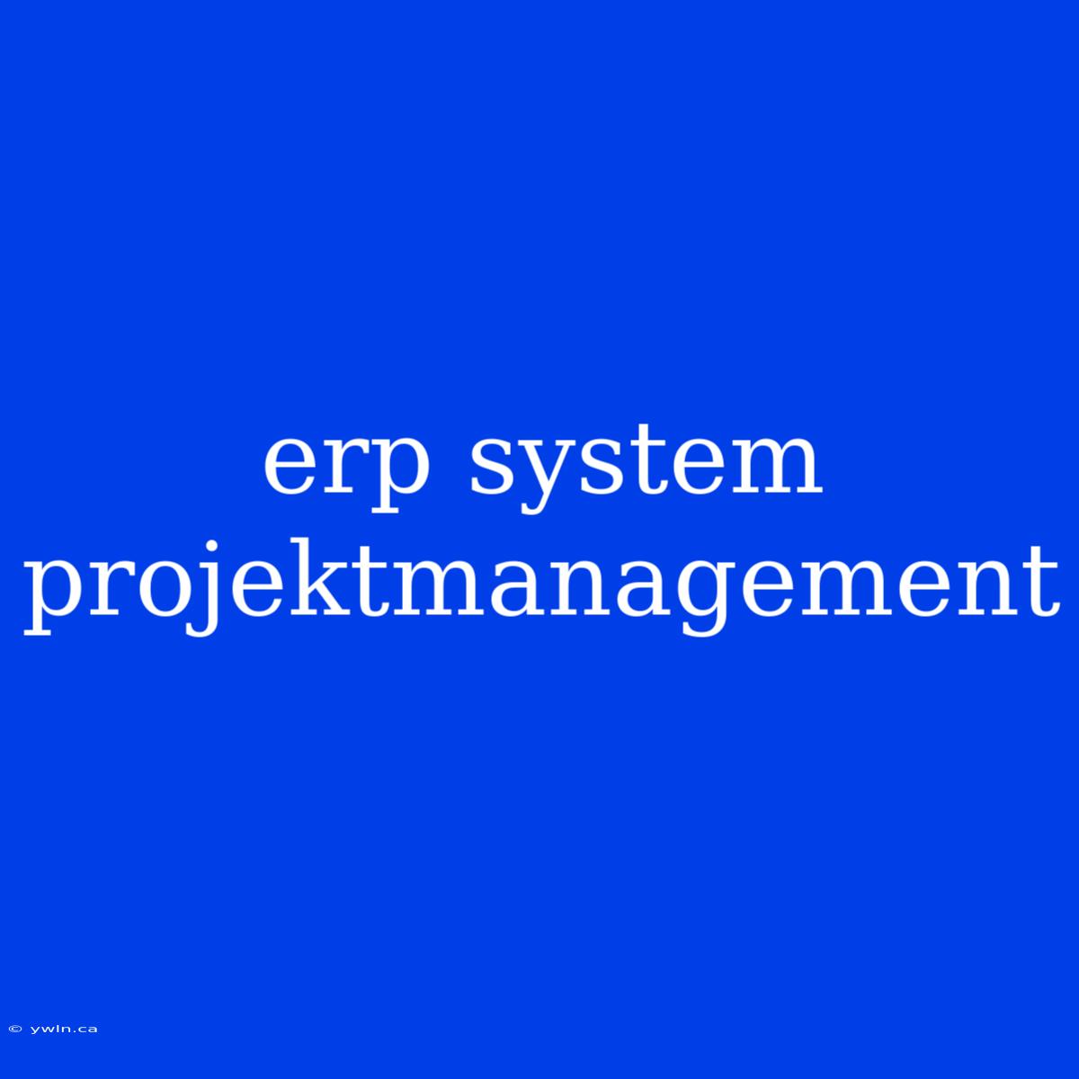 Erp System Projektmanagement