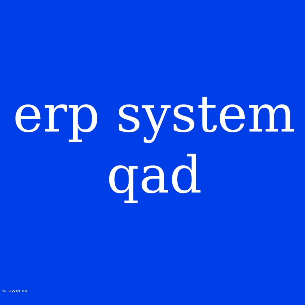 Erp System Qad