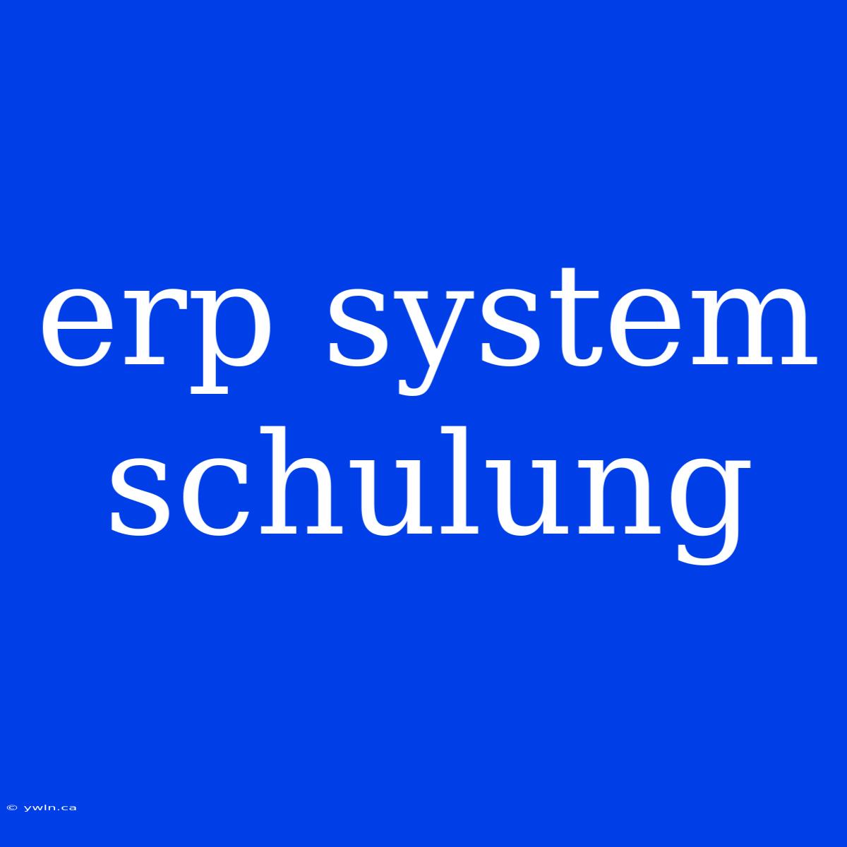 Erp System Schulung