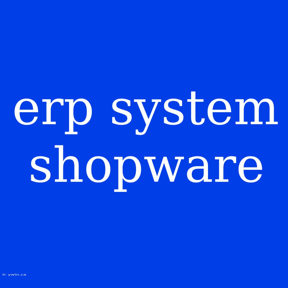 Erp System Shopware