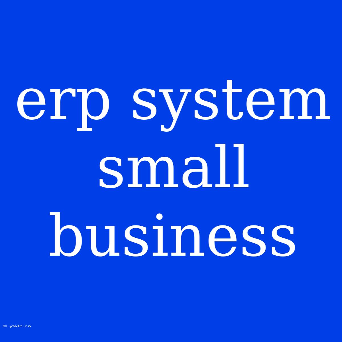 Erp System Small Business