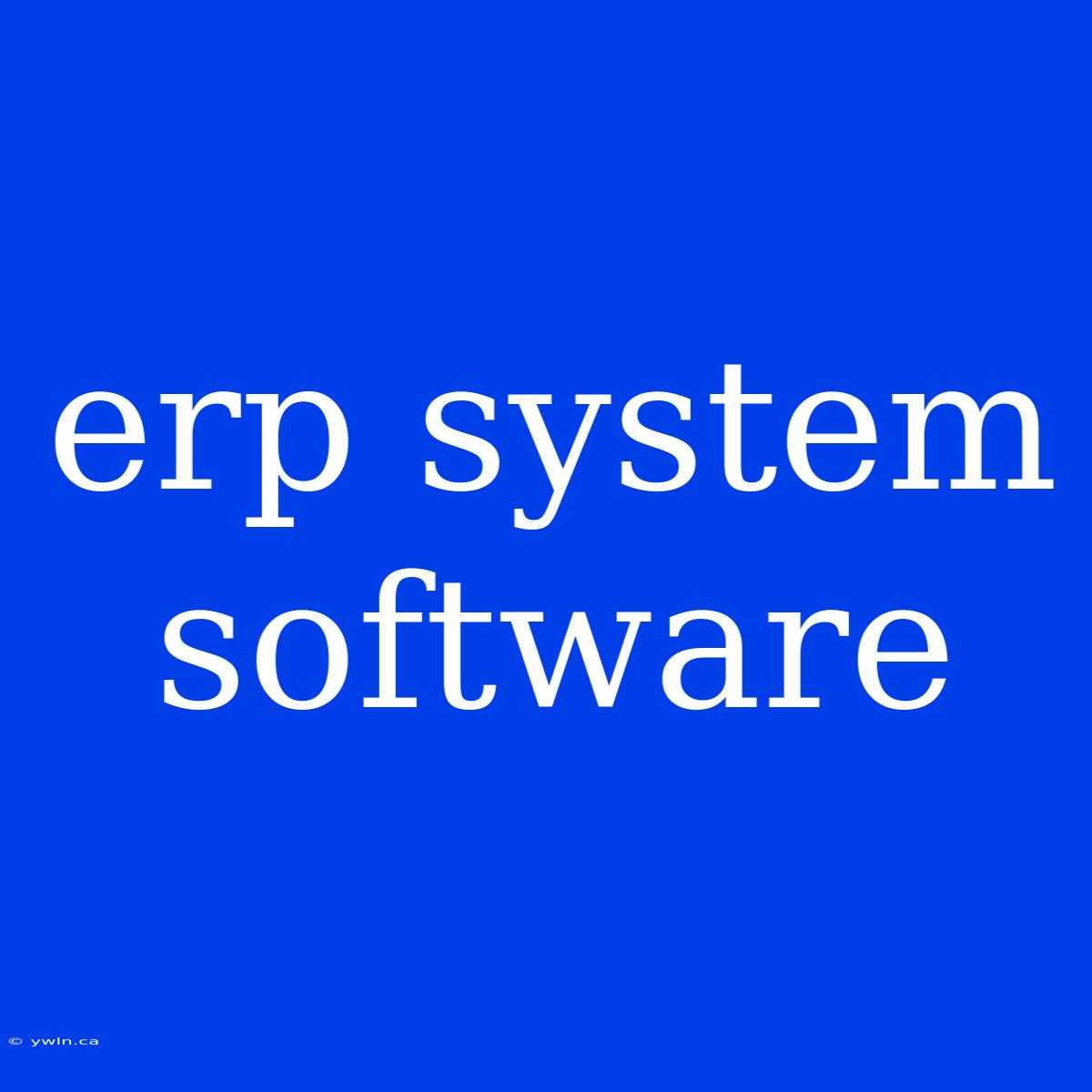 Erp System Software