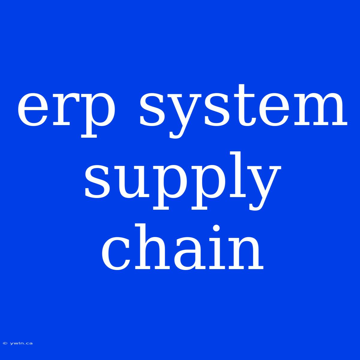 Erp System Supply Chain