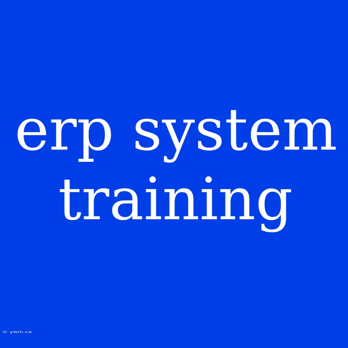 Erp System Training