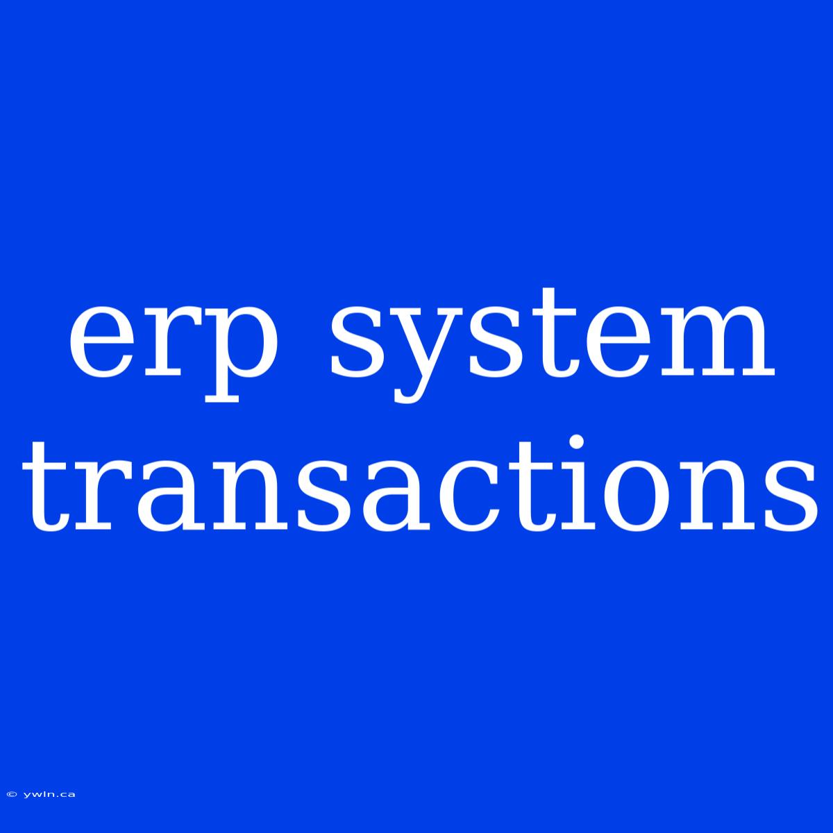 Erp System Transactions