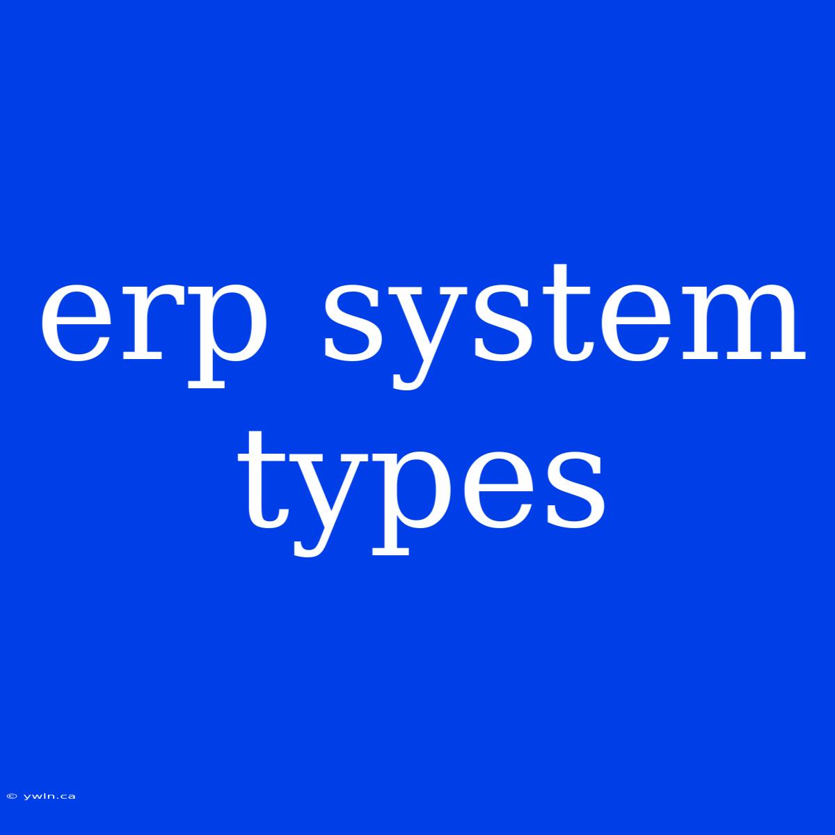 Erp System Types