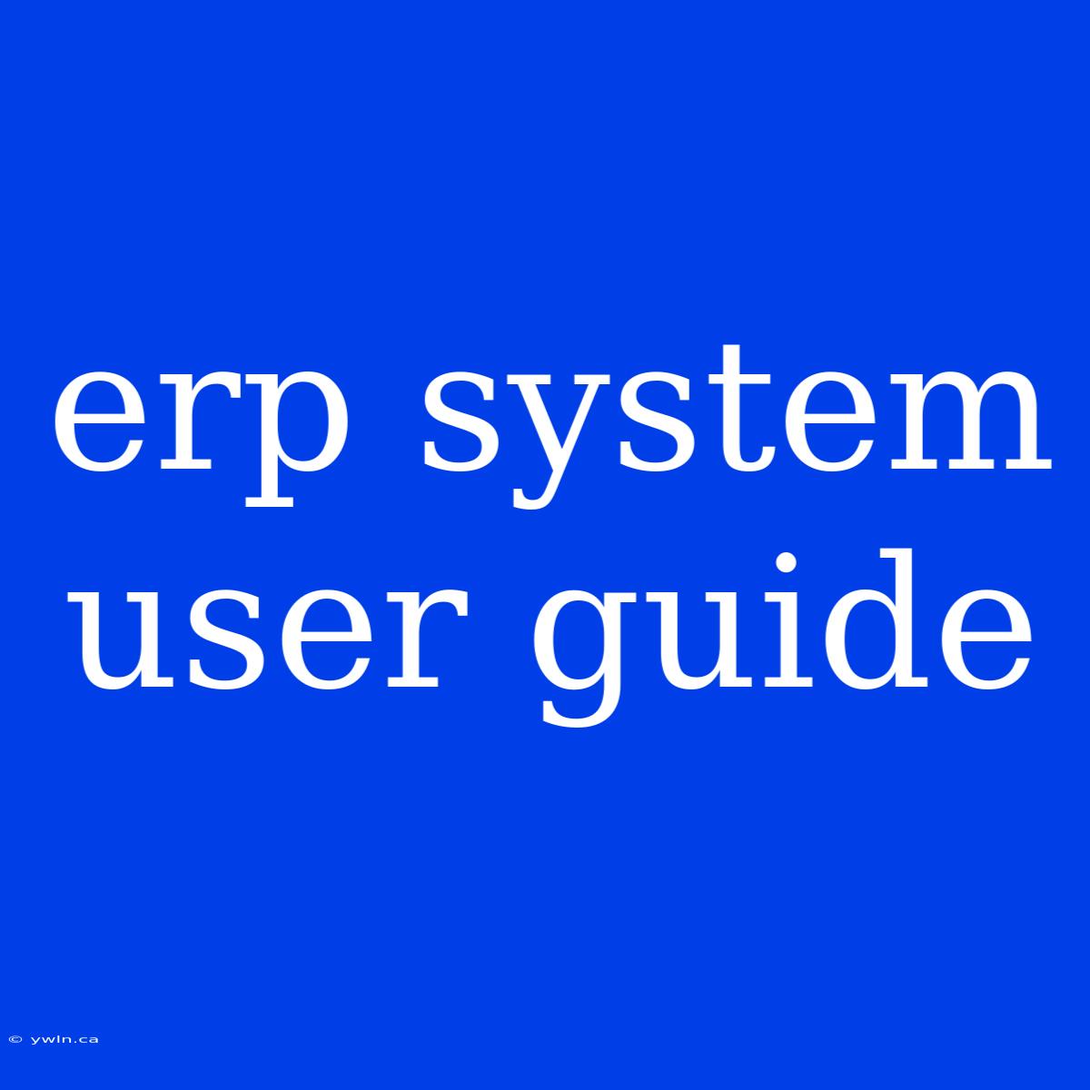 Erp System User Guide