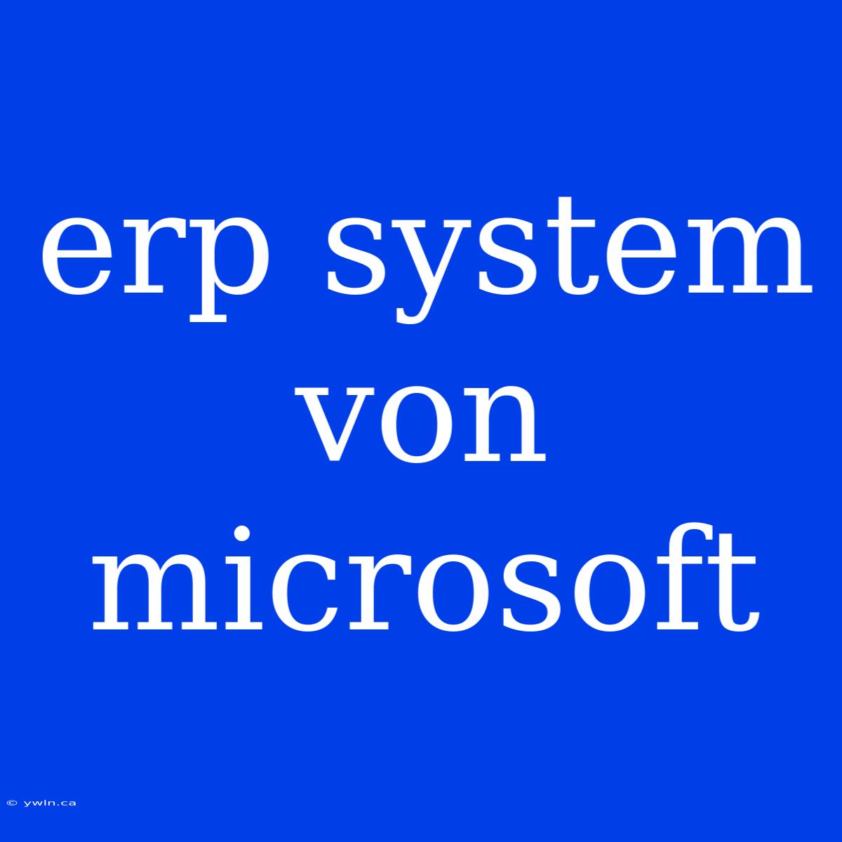 Erp System Von Microsoft