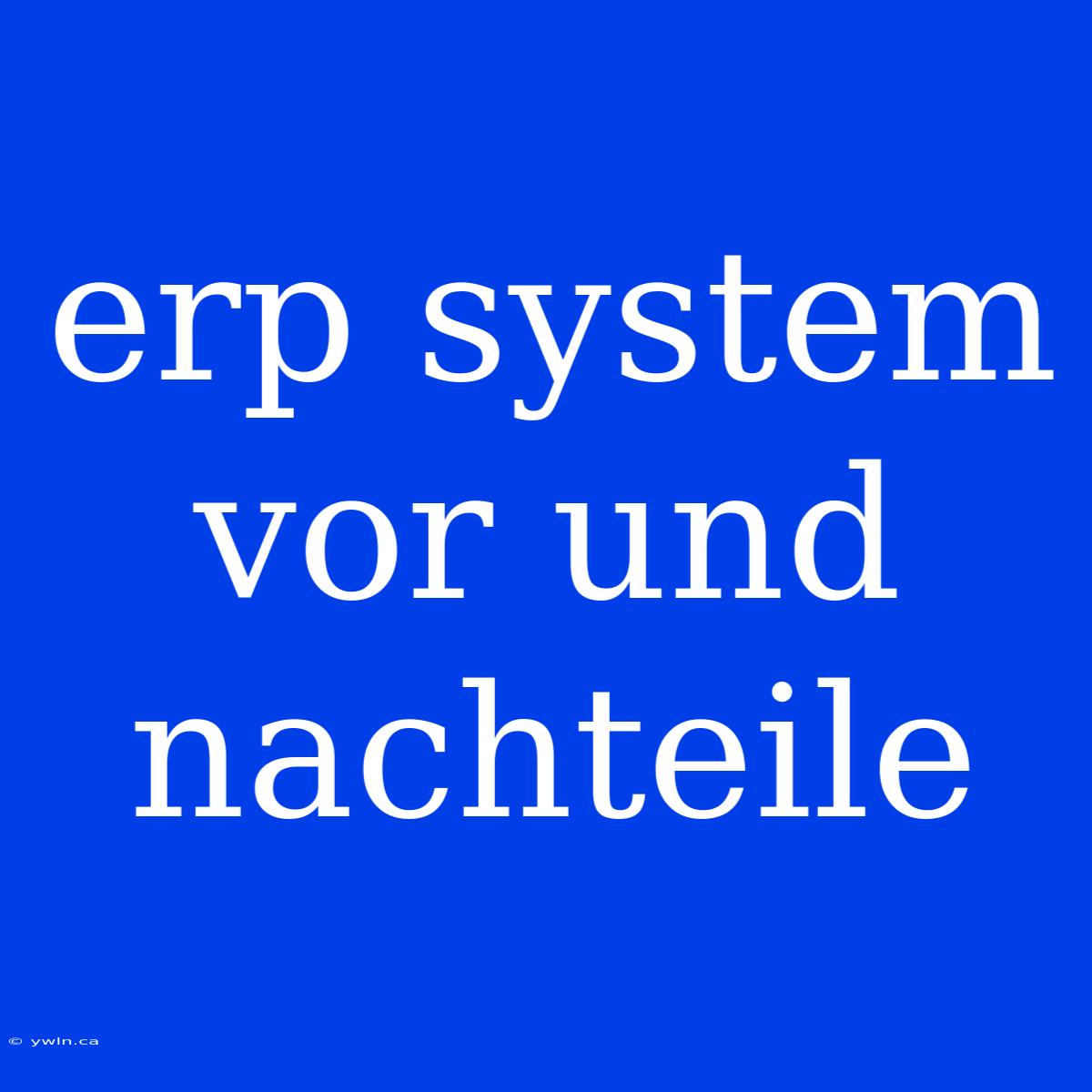 Erp System Vor Und Nachteile