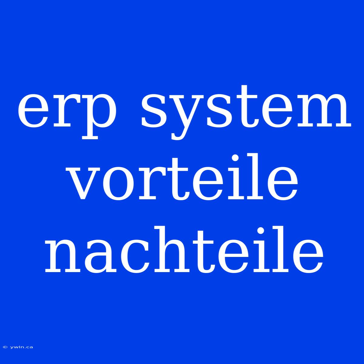 Erp System Vorteile Nachteile