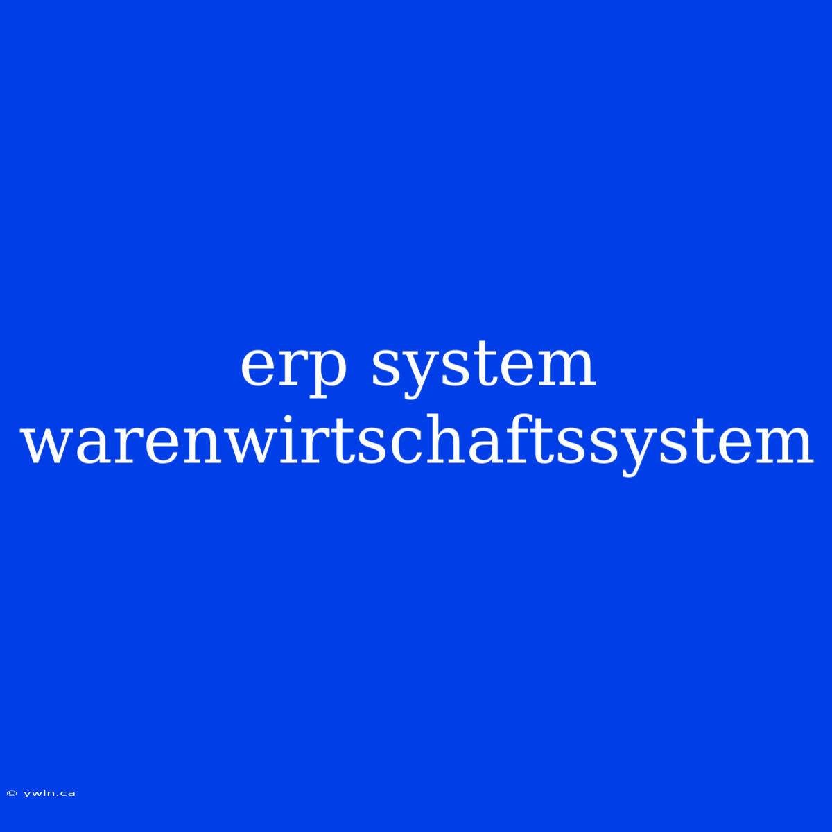 Erp System Warenwirtschaftssystem