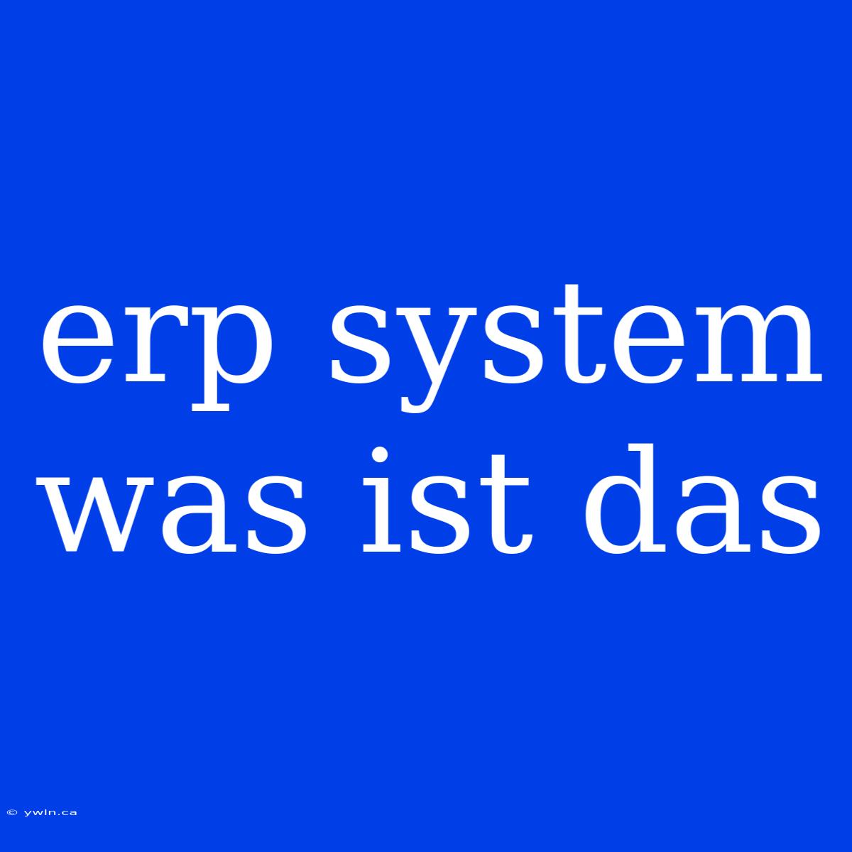 Erp System Was Ist Das