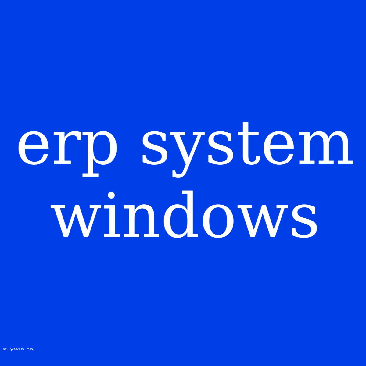 Erp System Windows