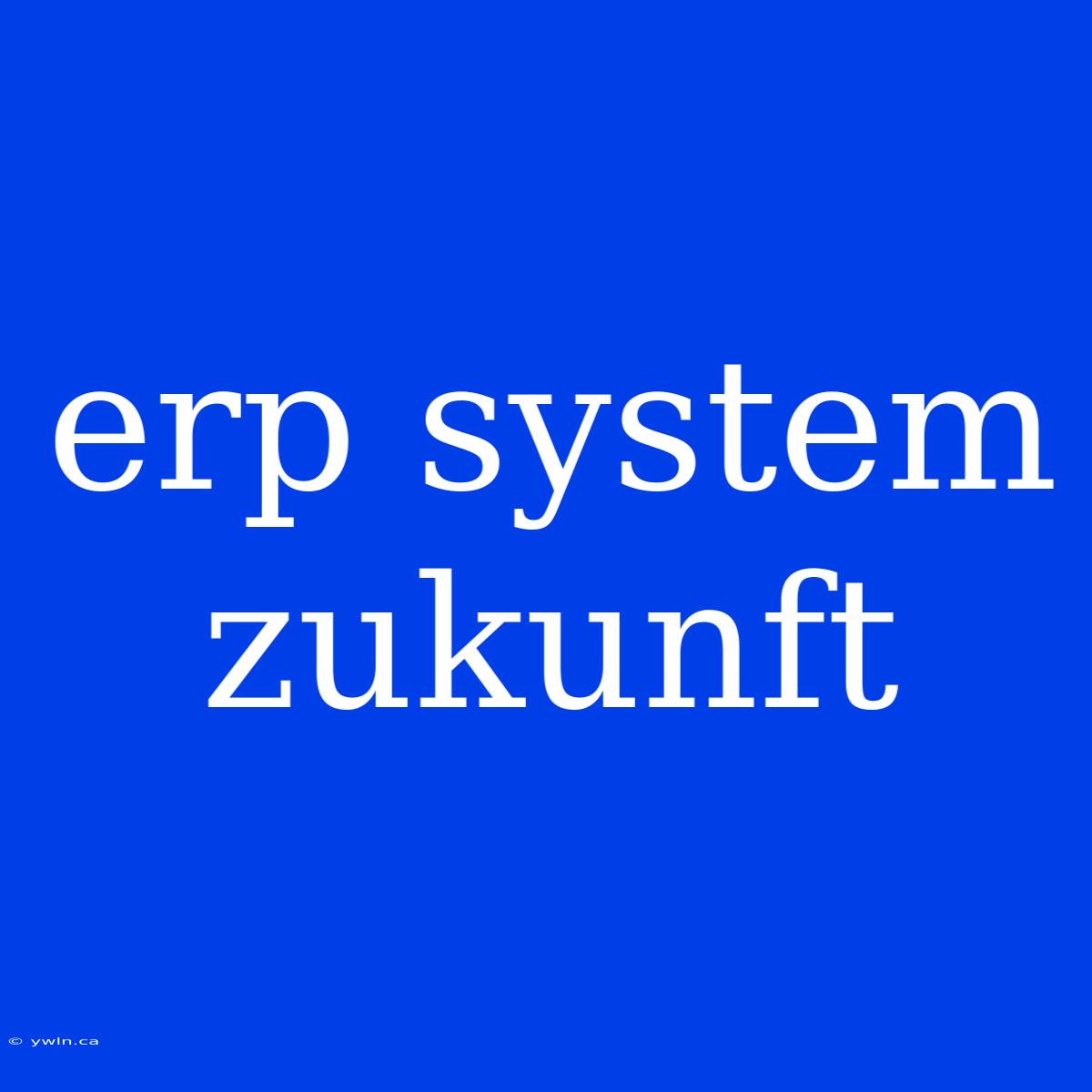 Erp System Zukunft